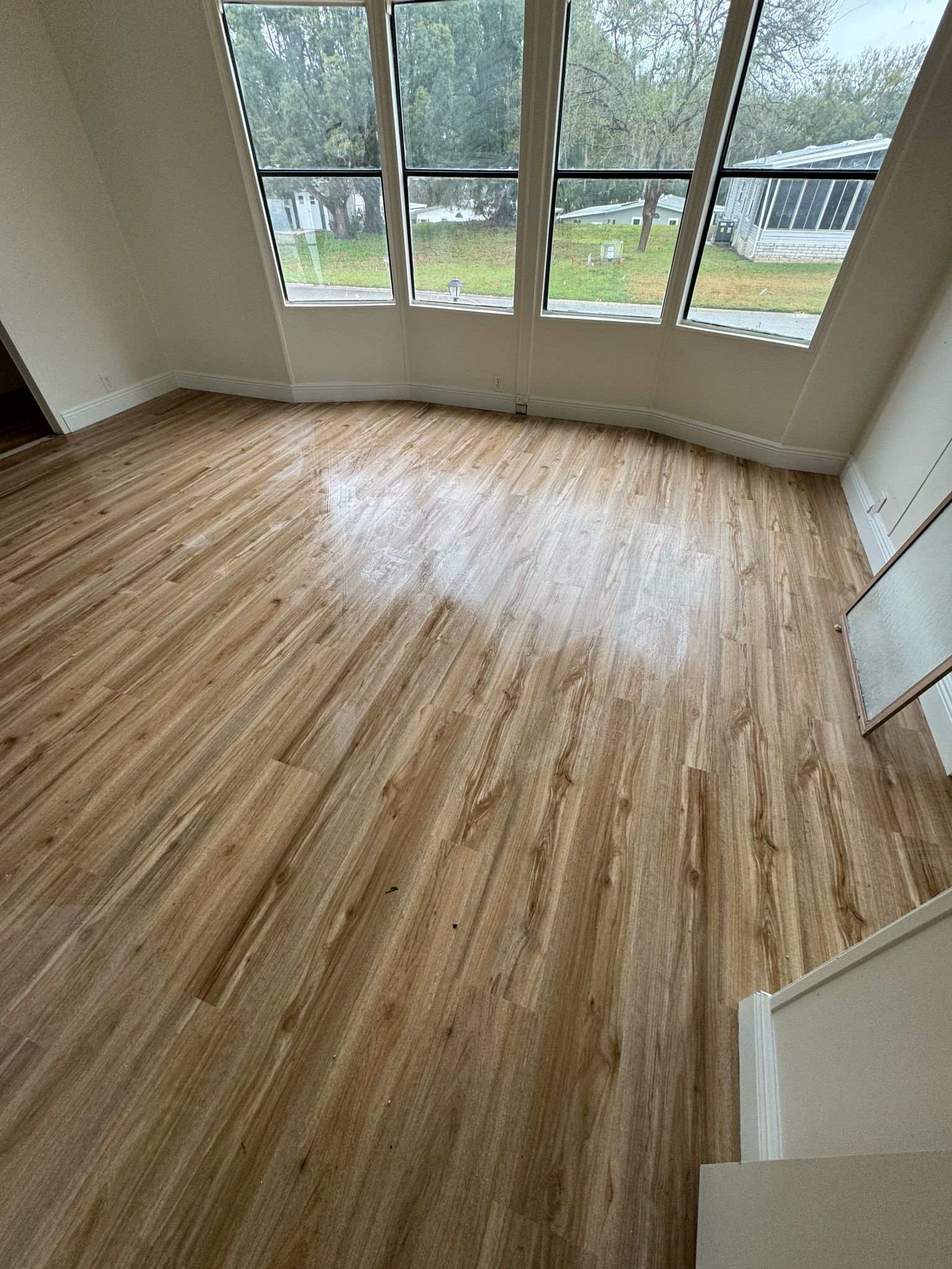 photo 2025 02 25 17 17 34 7